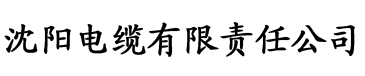 九一视频电缆厂logo